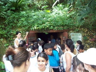 Um Pouco de História