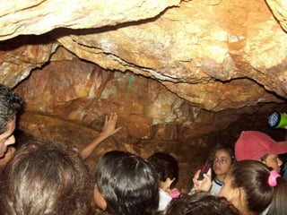 Um Pouco de História