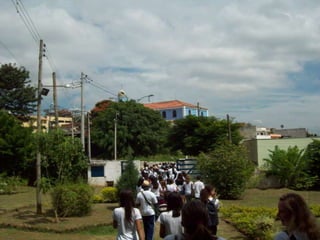 Um Pouco de História