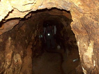 Um Pouco de História