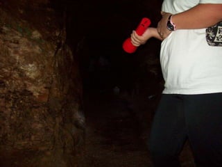 Um Pouco de História