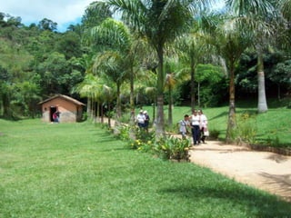 Um Pouco de História