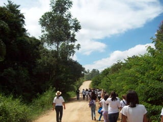 Um Pouco de História