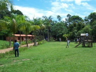 Um Pouco de História