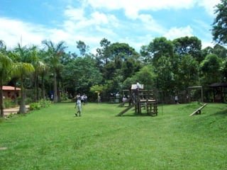 Um Pouco de História