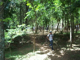 Um Pouco de História