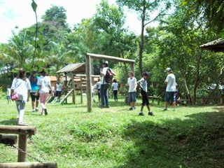 Um Pouco de História