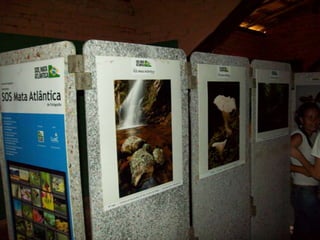 Um Pouco de História