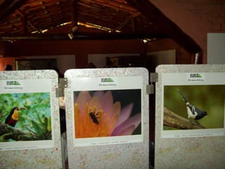 Um Pouco de História