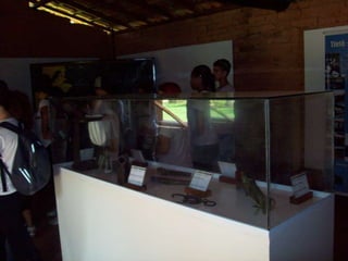 Um Pouco de História