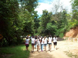 Um Pouco de História