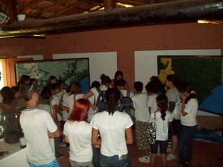 Um Pouco de História