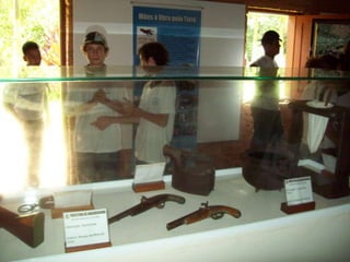 Um Pouco de História