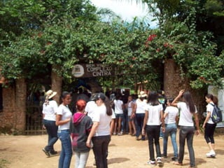 Um Pouco de História