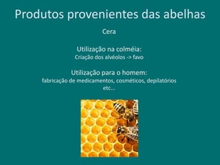 Produtos provenientes das abelhas
Cera
Utilização na colméia:
Criação dos alvéolos -> favo
Utilização para o homem:
fabricação de medicamentos, cosméticos, depilatórios
etc...
 