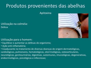 Produtos provenientes das abelhas
Apitoxina
Utilização na colméia:
Defesa
Utilização para o homem:
• Equilibrar e aumentar as defesas do organismo;
• Ação anti-inflamatória;
• Coadjuvante no tratamento de diversas doenças de origem dermatológicas,
cardiológicas, pulmonares, hematológicas, otorrinológicas, osteoarticulares,
neurológicas, genitourinárias, digestivas, autoimunes, imunológicas, degenerativas,
endocrinológicas, psicológicas e infecciosas;
 