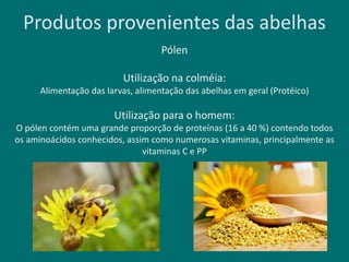 Produtos provenientes das abelhas
Pólen
Utilização na colméia:
Alimentação das larvas, alimentação das abelhas em geral (Protéico)
Utilização para o homem:
O pólen contém uma grande proporção de proteínas (16 a 40 %) contendo todos
os aminoácidos conhecidos, assim como numerosas vitaminas, principalmente as
vitaminas C e PP
 