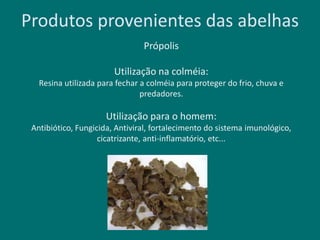 Produtos provenientes das abelhas
Própolis
Utilização na colméia:
Resina utilizada para fechar a colméia para proteger do frio, chuva e
predadores.
Utilização para o homem:
Antibiótico, Fungicida, Antiviral, fortalecimento do sistema imunológico,
cicatrizante, anti-inflamatório, etc...
 