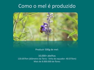 Como o mel é produzido
Produzir 500g de mel:
10,000+ abelhas
120.697km (diâmetro da Terra - linha do equador: 40.075km)
Mais de 8.000.000 de flores
 