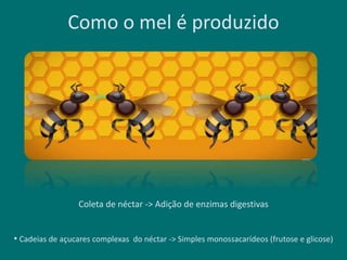 Como o mel é produzido
Coleta de néctar -> Adição de enzimas digestivas
• Cadeias de açucares complexas do néctar -> Simples monossacarídeos (frutose e glicose)
 
