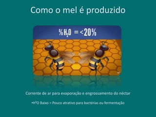 Como o mel é produzido
Corrente de ar para evaporação e engrossamento do néctar
•H²O Baixo = Pouco atrativo para bactérias ou fermentação
 