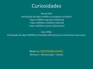 Curiosidades
Século XIX:
Introdução de Apis mellifera européias no Brasil:
• Apis mellifera ligustica (Italiana)
• Apis mellifera mellifera (Alemã)
• Apis mellifera carnica (Austríaca)
Ano 1956:
Introdução da Apis Mellifera Scutellata (Africana) no continente americano.
Nível de DEFENSIBILIDADE:
Africana > Africanizada > Outras
 