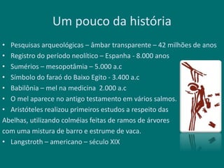 Um pouco da história
• Pesquisas arqueológicas – âmbar transparente – 42 milhões de anos
• Registro do período neolítico – Espanha - 8.000 anos
• Sumérios – mesopotâmia – 5.000 a.c
• Símbolo do faraó do Baixo Egito - 3.400 a.c
• Babilônia – mel na medicina 2.000 a.c
• O mel aparece no antigo testamento em vários salmos.
• Aristóteles realizou primeiros estudos a respeito das
Abelhas, utilizando colméias feitas de ramos de árvores
com uma mistura de barro e estrume de vaca.
• Langstroth – americano – século XIX
 