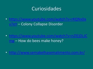 Curiosidades
• https://www.youtube.com/watch?v=rKQNx0a
v7eY – Colony Collapse Disorder
• https://www.youtube.com/watch?v=nZlEjDLJC
mg – How do bees make honey?
• http://www.semabelhasemalimento.com.br/
 