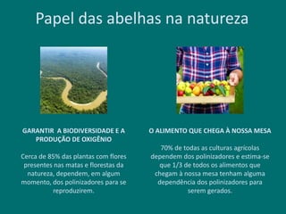 GARANTIR A BIODIVERSIDADE E A
PRODUÇÃO DE OXIGÊNIO
Cerca de 85% das plantas com flores
presentes nas matas e florestas da
natureza, dependem, em algum
momento, dos polinizadores para se
reproduzirem.
O ALIMENTO QUE CHEGA À NOSSA MESA
70% de todas as culturas agrícolas
dependem dos polinizadores e estima-se
que 1/3 de todos os alimentos que
chegam à nossa mesa tenham alguma
dependência dos polinizadores para
serem gerados.
Papel das abelhas na natureza
 