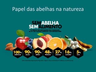 Papel das abelhas na natureza
 