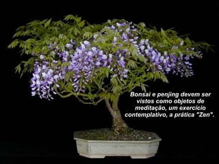 Bonsai e penjing devem ser vistos como objetos de meditação, um exercício contemplativo, a prática "Zen".  