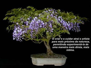 O criar e o cuidar atrai o artista para mais próximo da natureza, permitindo experimentá-la de uma maneira mais direta, mais íntima.  