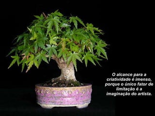O alcance para a criatividade é imenso, porque o único fator de limitação é a imaginação do artista. 