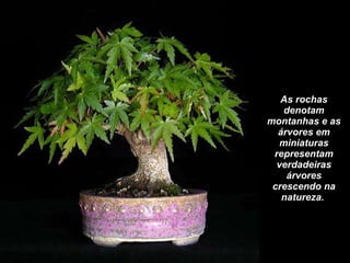 As rochas denotam montanhas e as árvores em miniaturas representam verdadeiras árvores crescendo na natureza.  