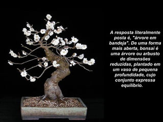 A resposta literalmente posta é, "árvore em bandeja". De uma forma mais aberta, bonsai é uma árvore ou arbusto de dimensões reduzidas, plantado em um vaso de pequena profundidade, cujo conjunto expressa equilíbrio.      