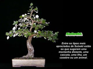Entre os tipos mais apreciados de Suiseki estão os que sugerem uma montanha distante, uma cascata, uma ilha, um casebre ou um animal. 