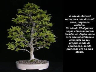A arte do Suiseki remonta a uns dois mil anos, originada naChina. No século VI algumas  peças chinesas foram levadas ao Japão, onde esta arte foi adotada e adaptada ao seu próprio modo de apreciação, sendo praticada até os dias atuais. 