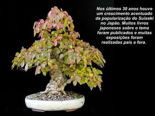 Nos últimos 30 anos houve um crescimento acentuado da popularização do Suiseki no Japão. Muitos livros japoneses sobre o tema foram publicados e muitas exposições foram realizadas país a fora.   