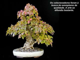 Os colecionadores foram à busca de exemplares de qualidade. A arte se difundiu bastante. 