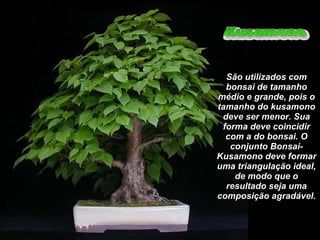 São utilizados com bonsai de tamanho médio e grande, pois o tamanho do kusamono deve ser menor. Sua forma deve coincidir com a do bonsai. O conjunto Bonsai-Kusamono deve formar uma triangulação ideal, de modo que o resultado seja uma composição agradável. 
