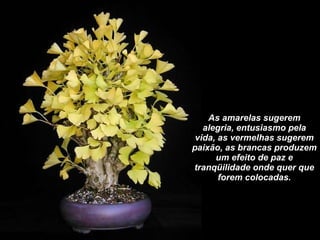 As amarelas sugerem alegria, entusiasmo pela vida, as vermelhas sugerem paixão, as brancas produzem um efeito de paz e tranqüilidade onde quer que forem colocadas. 