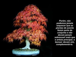 Porém, não podemos jamais esquecer que as plantas de acento fazem parte do conjunto e não devem jamais sobressair mais que o artista principal, o bonsai; devem sim, complementá-lo.  