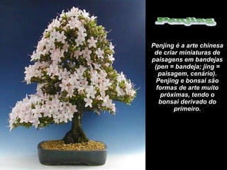 Penjing é a arte chinesa de criar miniaturas de paisagens em bandejas (pen = bandeja; jing = paisagem, cenário). Penjing e bonsai são formas de arte muito próximas, tendo o bonsai derivado do primeiro. 