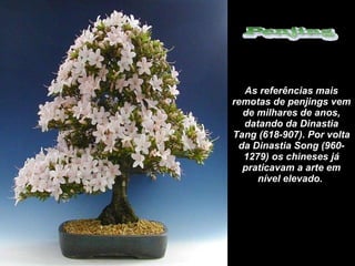 As referências mais remotas de penjings vem de milhares de anos, datando da Dinastia Tang (618-907). Por volta da Dinastia Song (960-1279) os chineses já praticavam a arte em nível elevado.   