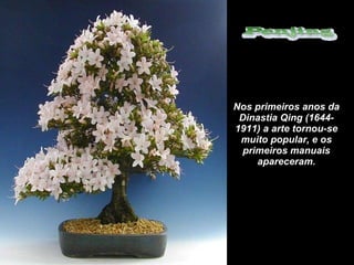 Nos primeiros anos da Dinastia Qing (1644-1911) a arte tornou-se muito popular, e os primeiros manuais apareceram. 