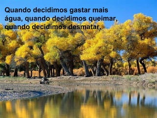 Quando decidimos gastar mais água, quando decidimos queimar, quando decidimos desmatar. 