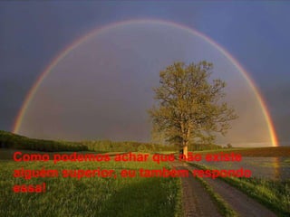 Como podemos achar que não existe alguém superior, eu também respondo essa! 