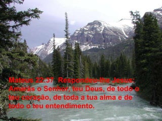 Mateus 22:37  Respondeu-lhe Jesus: Amarás o Senhor, teu Deus, de todo o teu coração, de toda a tua alma e de todo o teu entendimento. 