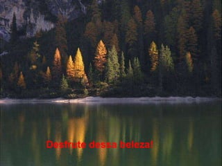 Desfrute dessa beleza! 