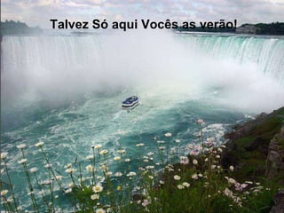 Talvez Só aqui Vocês as verão! 